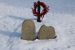 John and Mary E Gustin Headstones